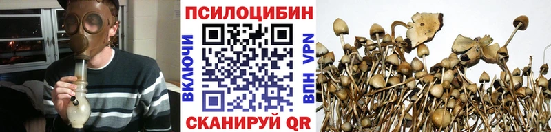 Псилоцибиновые грибы Psilocybe гидра онион Дзержинск