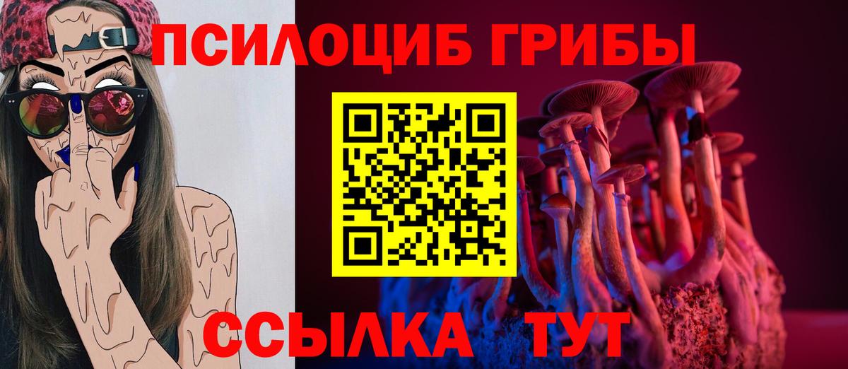 Галлюциногенные грибы MAGIC MUSHROOMS  закладка  Галлюциногенные грибы мухоморы  Дзержинск  Вход с VPN 