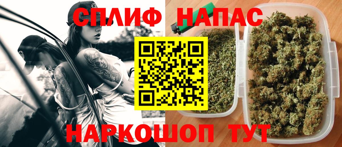 Бошки марихуана план  Канабис сатива  Дзержинск  Марихуана тримм  МАРИХУАНА индика  Вход с VPN 